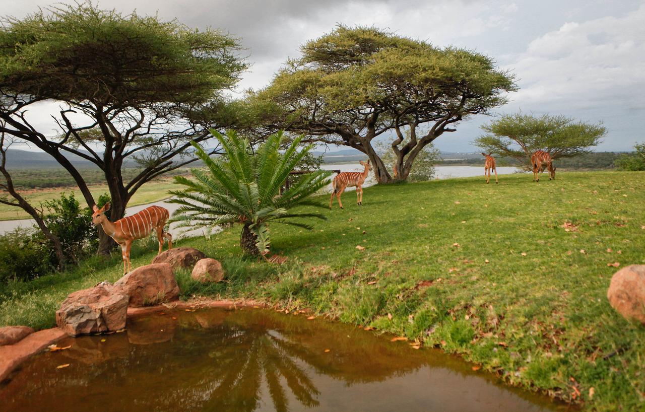 Nkwazi Lake Lodge Pongola Eksteriør bilde